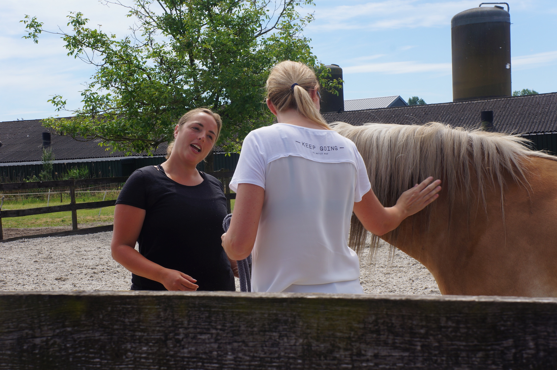 Brenda met paard - Therapie Paarden Veghel
