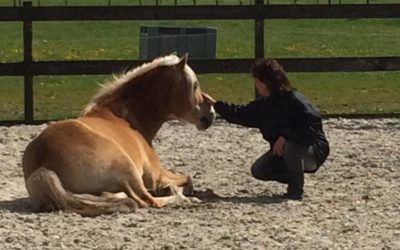 Stoppen met piekeren