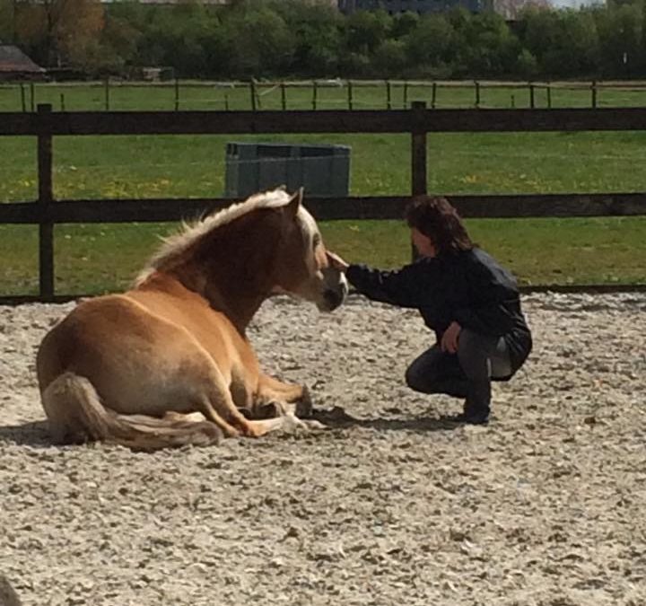 Stoppen met piekeren
