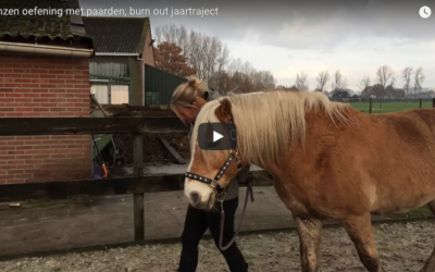 Video: beter je grenzen aangeven