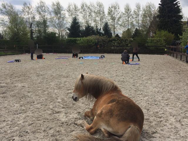 Terugblik & vooruitblik