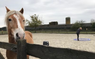 6 manieren om makkelijker klanten naar je toe te trekken 