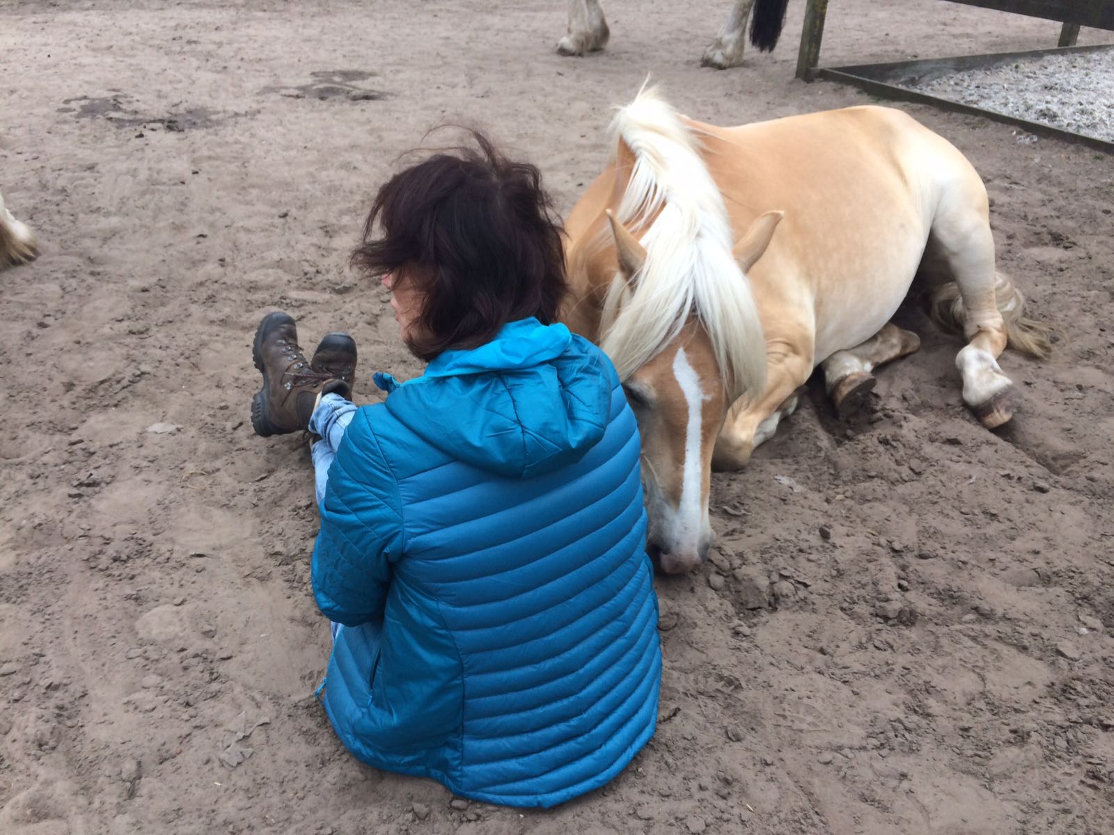 Burn Out Jaartract met paarden voorbeeld