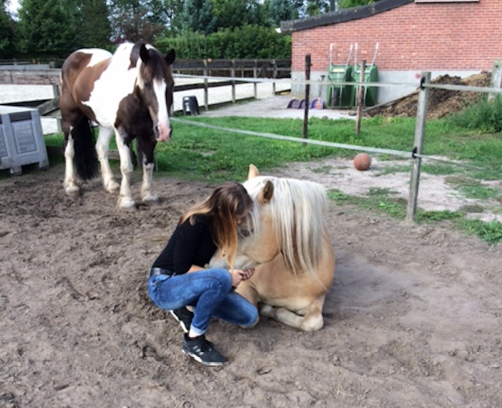 Burn out Jaar traject voorbeeld therapie sessie