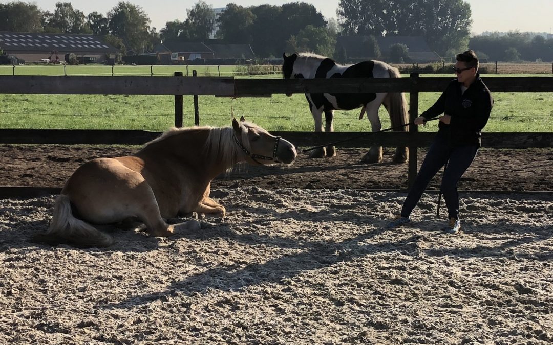 Een illusie armer, een ervaring rijker .