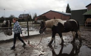 Modder in de Paddock | 2Tango Therapeutisch Centrum