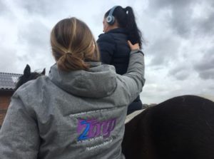 EMDR en Paardentherapie