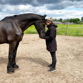 Maree met paard | Blog