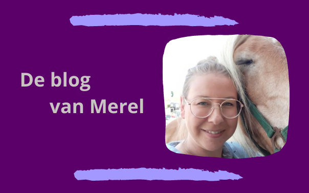 Blog van Merel
