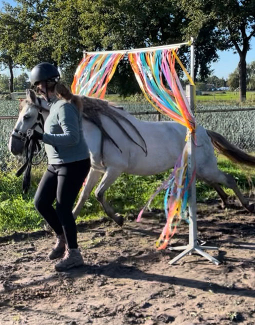 Brenda mes voorstellen