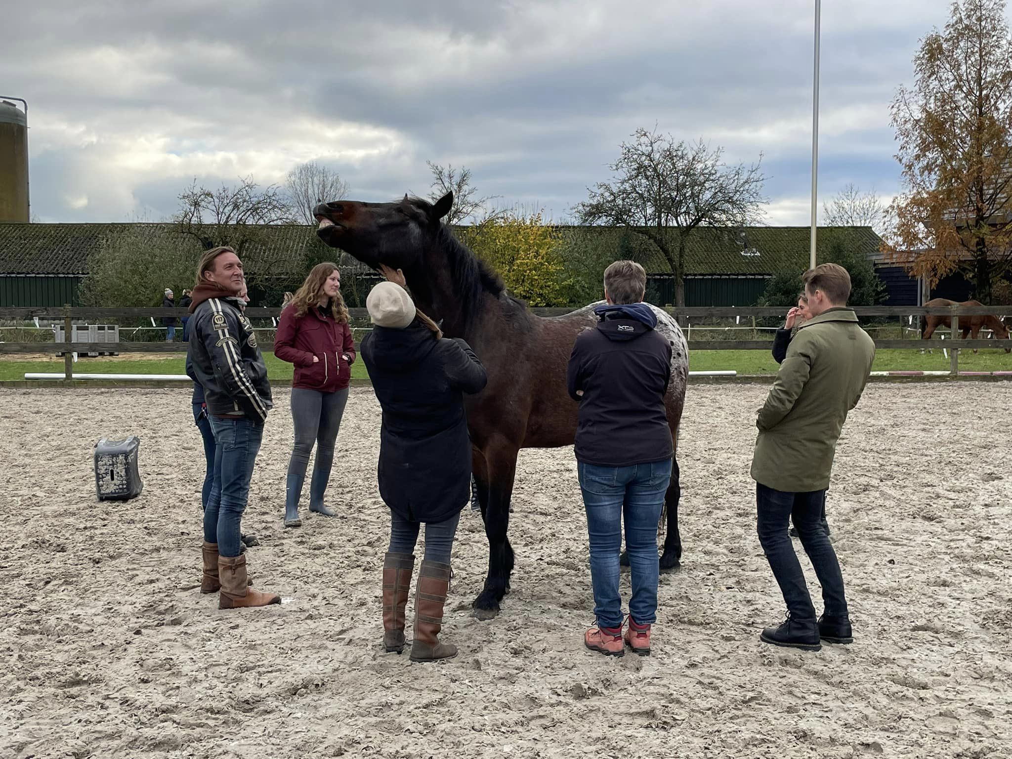 Brenda met paard - Therapie Paarden Veghel