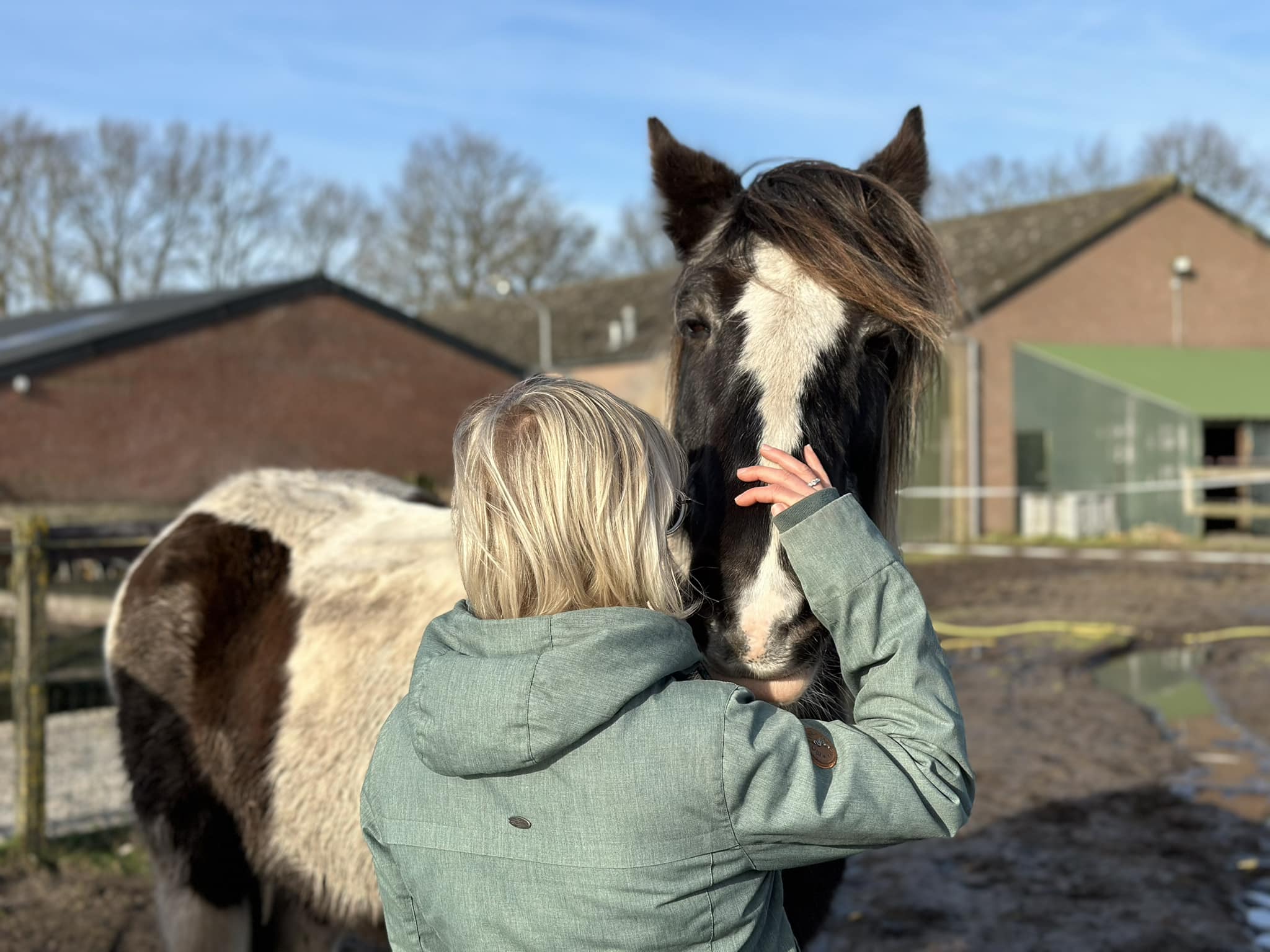 Praktijk paardencoach