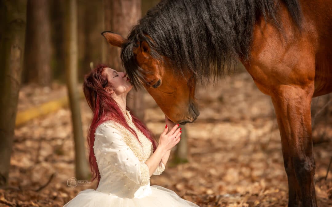Hoe paarden mij uit een verkeerde relatie hielpen (Gastblog)