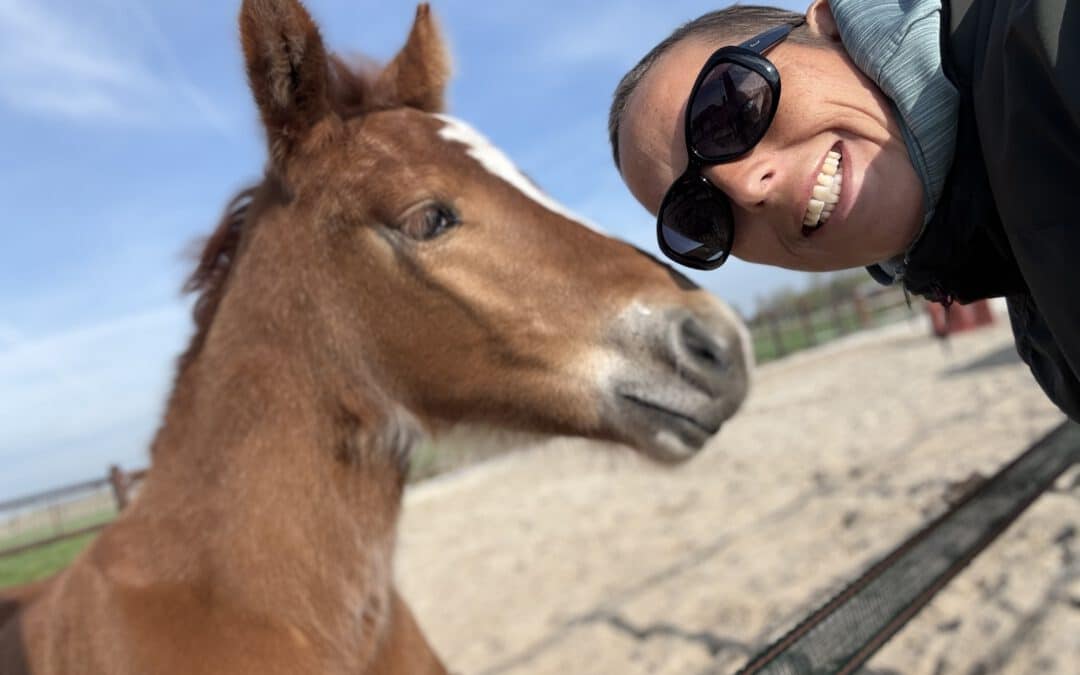 Wat paarden ons kunnen leren over angst, vrijheid en heling